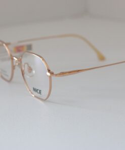 Alternative view of NICE VN240309